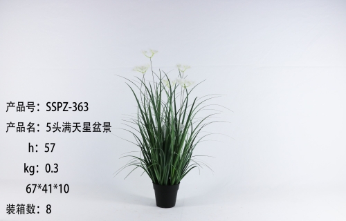 JA135-SSPZ-363