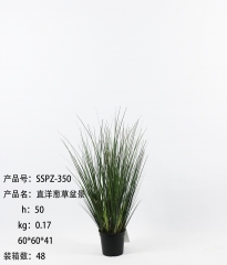 Item No.: JA135-SSPZ-350-21<br />
Col.: