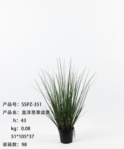 JA135-SSPZ-351-21