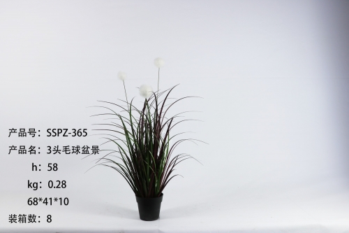 JA135-SSPZ-365
