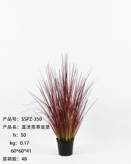Item No.: JA135-SSPZ-350-5<br />
Col.: