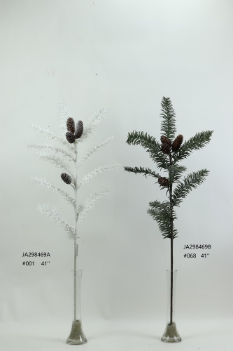 2022-XAMS-JA29170