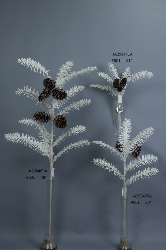 2022-XAMS-JA29158