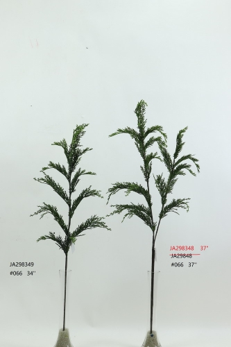 2022-XAMS-JA29186