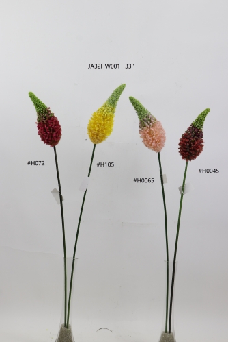 2022-SPRING-JA32008