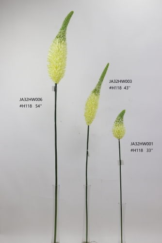 2022-SPRING-JA32007