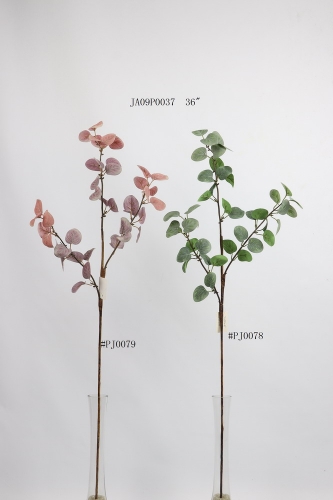 23-SPRING-JA09007