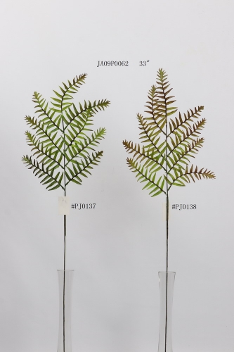 23-SPRING-JA09016
