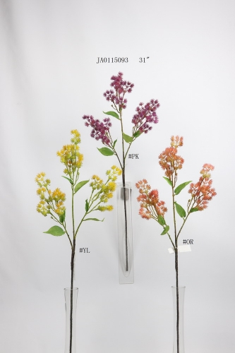 23-SPRING-JA01017