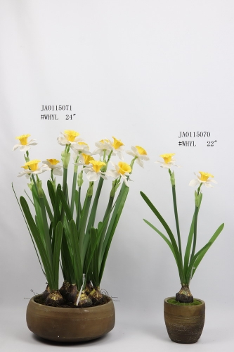 23-SPRING-JA01001