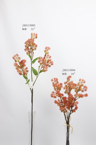 23-SPRING-JA01015