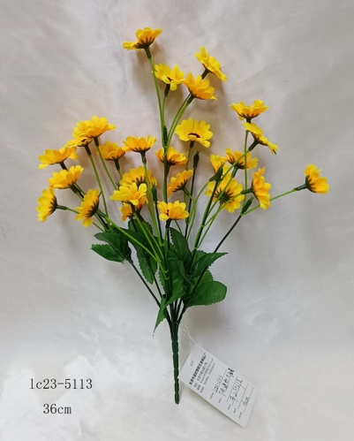 JA17LC23-5113