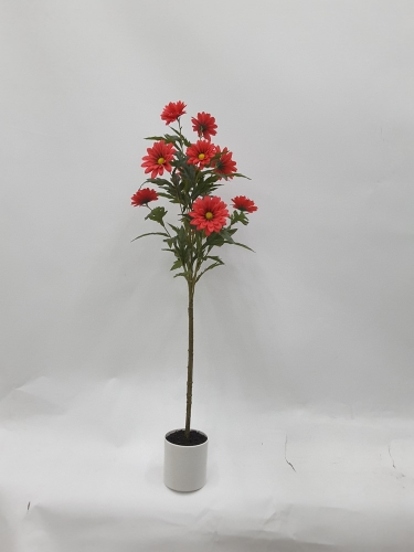 23-SPRING-JA117-020