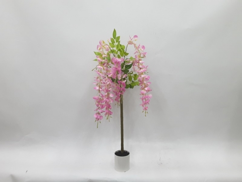 23-SPRING-JA117-023