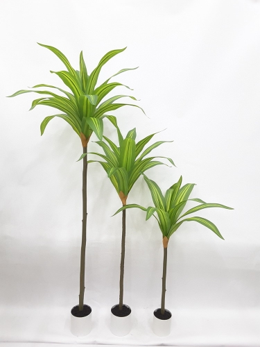23-SPRING-JA117-009