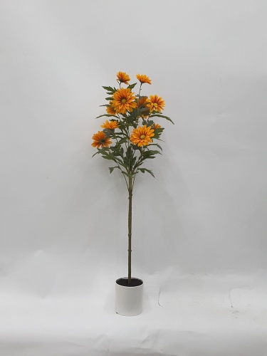 23-SPRING-JA117-017