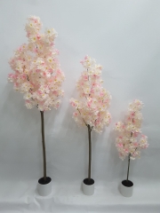 Item No.: 23-SPRING-JA117-014<br />
Col.: #