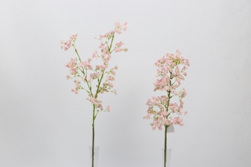 23-SPRING-JA29060