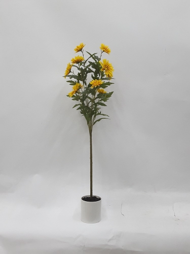 23-SPRING-JA117-016