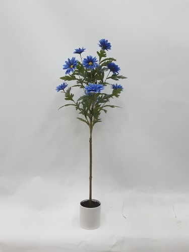 23-SPRING-JA117-018