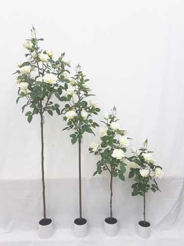 23-SPRING-JA117-040