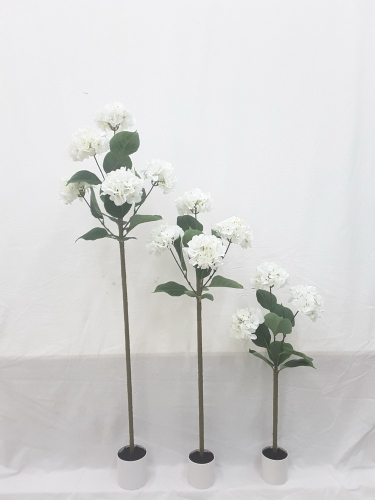 23-SPRING-JA117-041