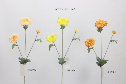 23-SPRING-JA83017