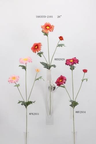 23-SPRING-JA83020