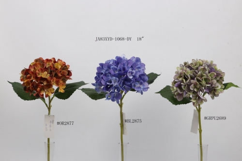 23-SPRING-JA83015