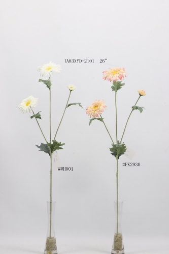 23-SPRING-JA83018