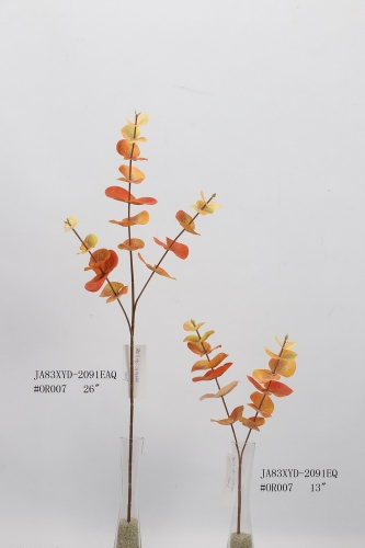 23-SPRING-JA83007