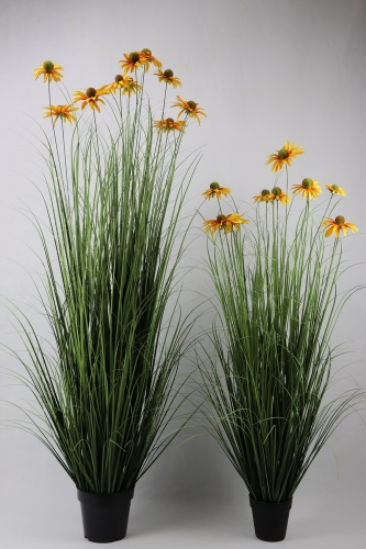 24-SPRING-JA135-002