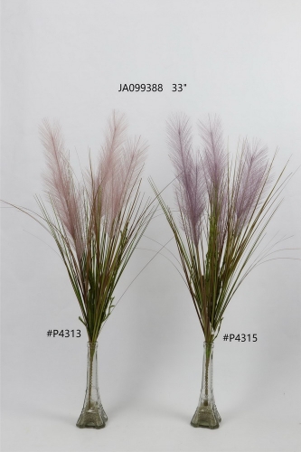 24-SPRING-JA09028