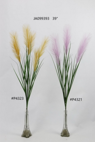 24-SPRING-JA09037
