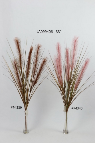24-SPRING-JA09022