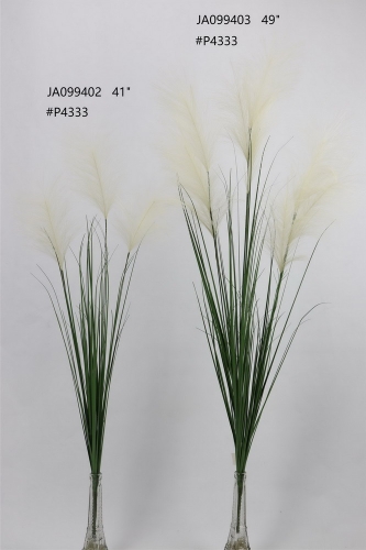 24-SPRING-JA09021