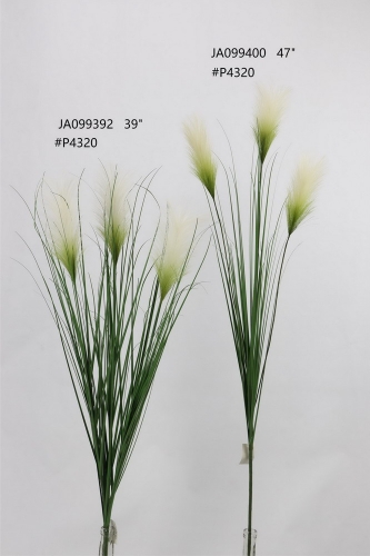 24-SPRING-JA09035
