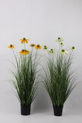 24-SPRING-JA135-003
