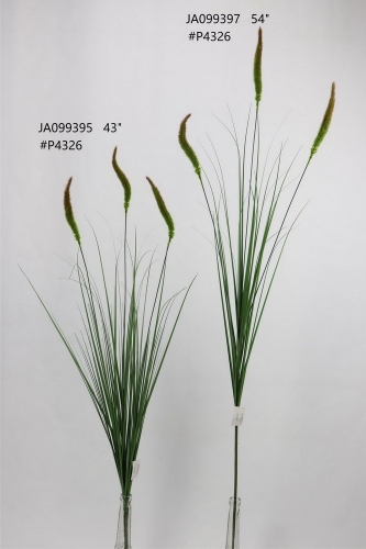 24-SPRING-JA09002