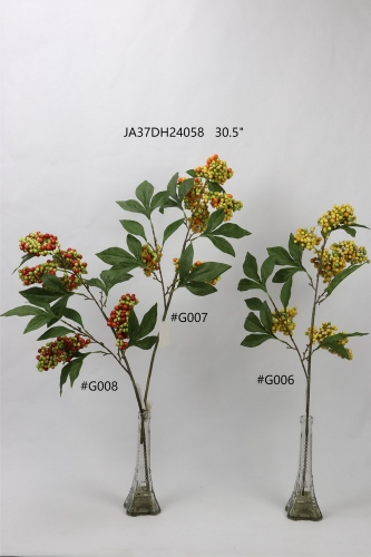 24-SPRING-JA37048