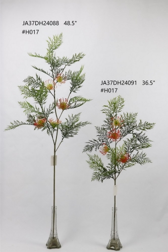 24-SPRING-JA37010