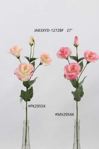 24-SPRING-JA83014