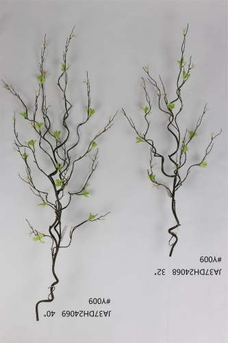 24-SPRING-JA37001