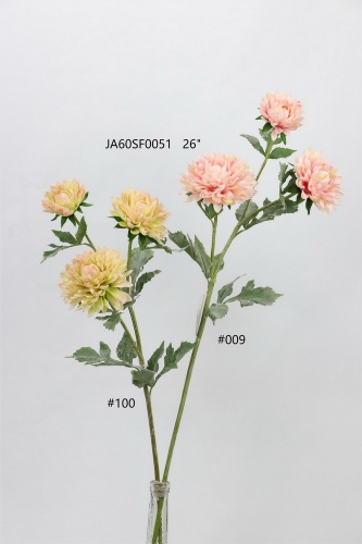 24-SPRING-JA60033