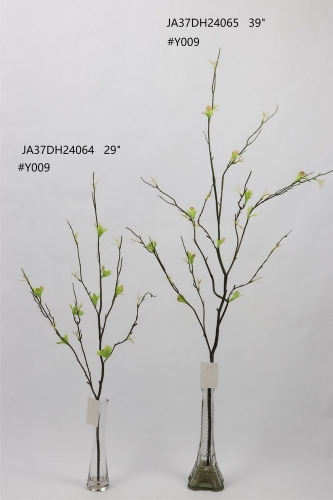 24-SPRING-JA37003