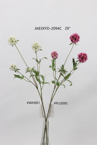 24-SPRING-JA83007