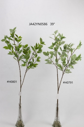 24-SPRING-JA42006