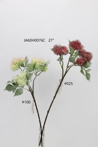 24-SPRING-JA60010