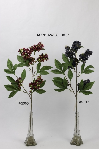 24-SPRING-JA37050