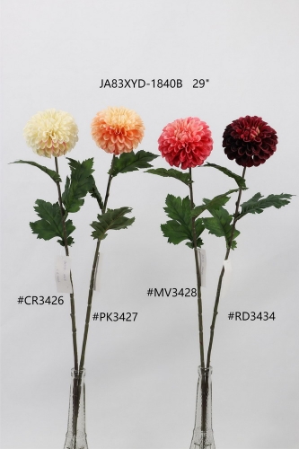 24-SPRING-JA83008